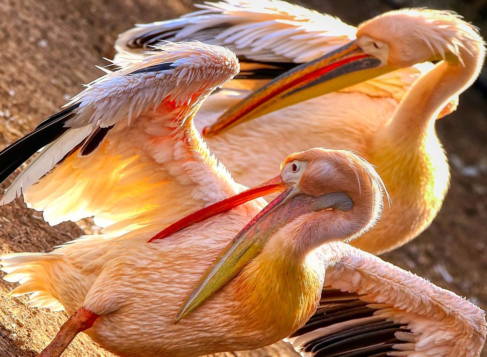 Photograph by ferhad turan