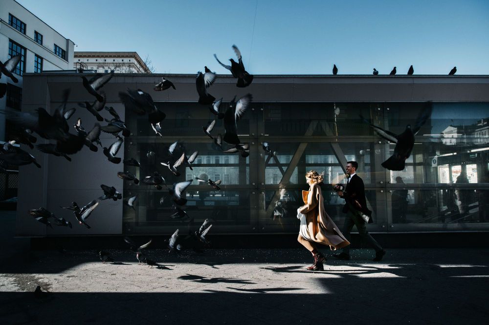 Любовь и голуби