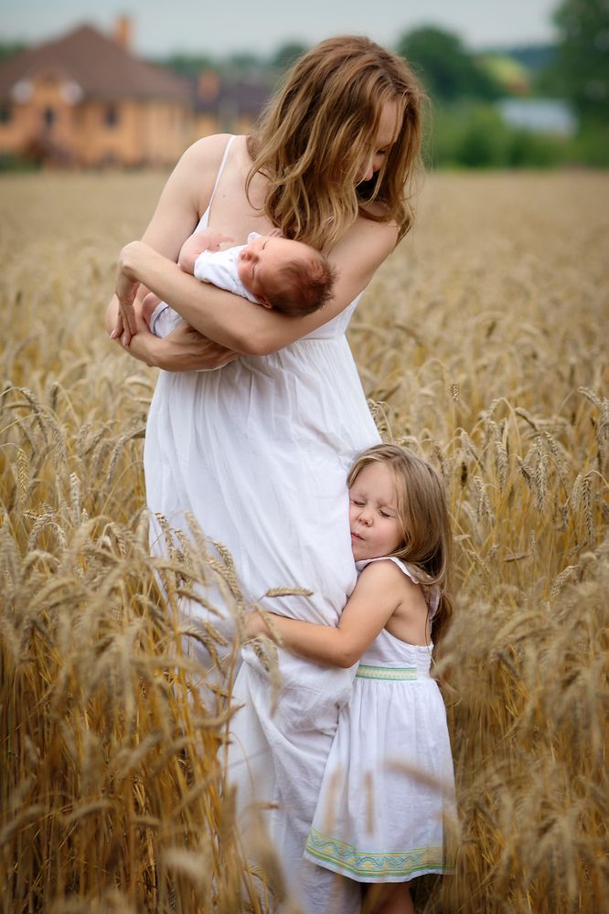 Пшеничные зарисовки