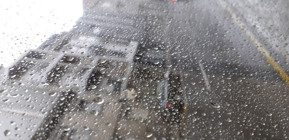 Photo #3071624