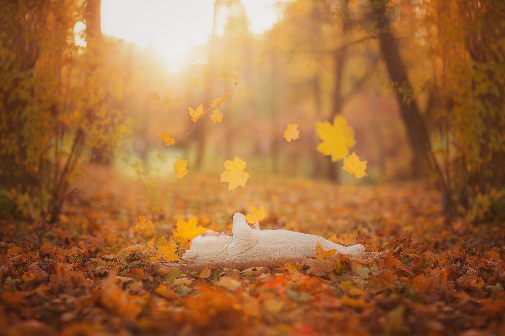 Photograph by Светлана Тузлукова