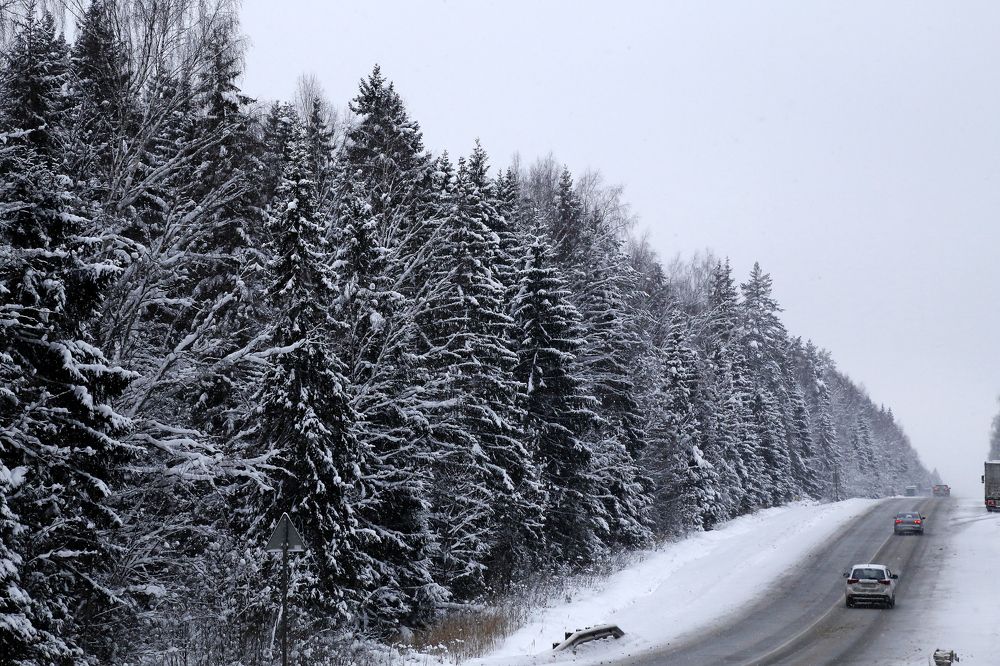 "Дорога в Звенигород"