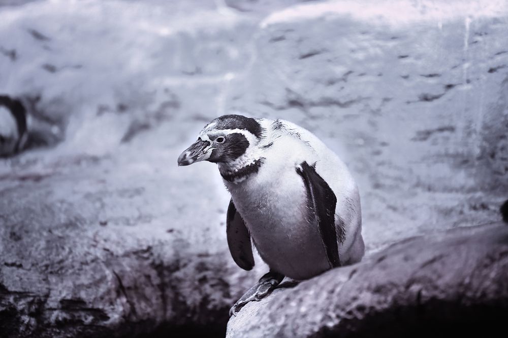 Photograph by Виктория Мейо