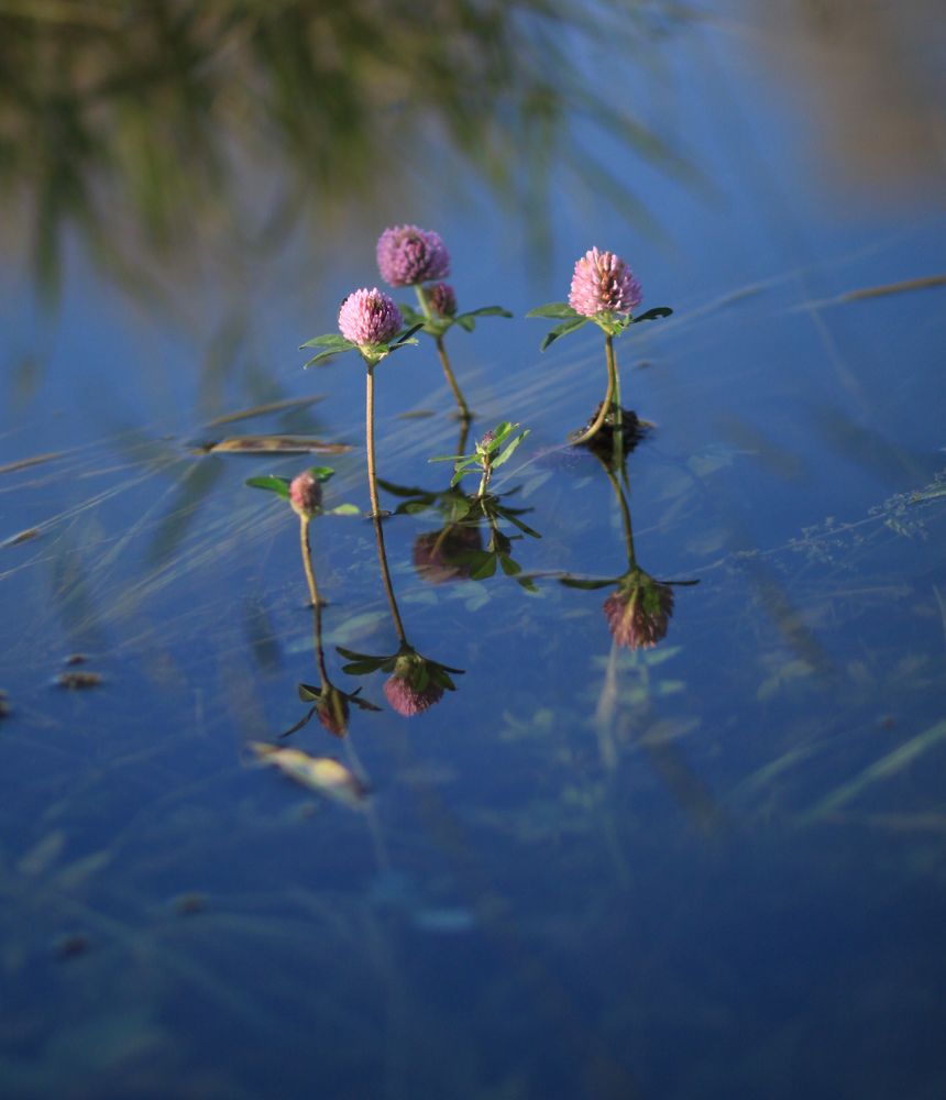on the lake in November