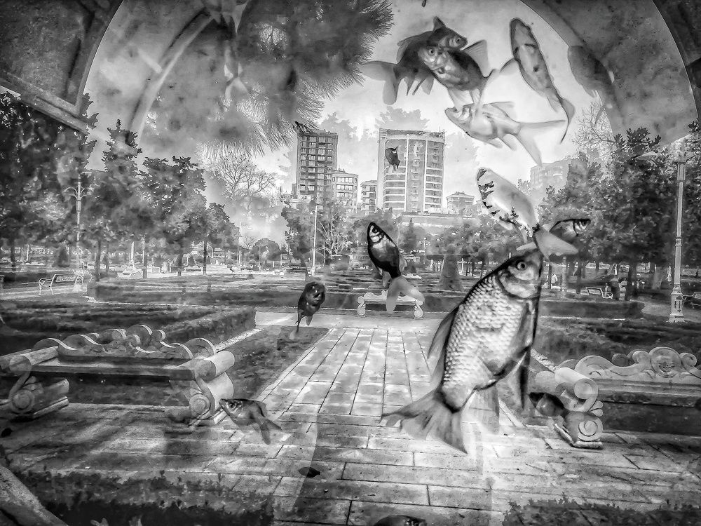 Day dream in the city