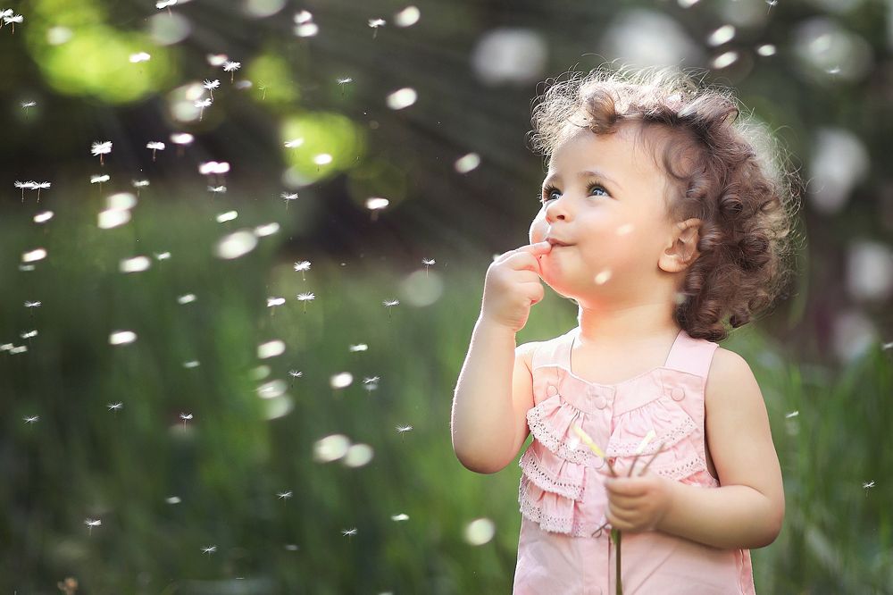 одуванчики