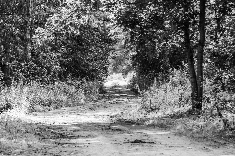 Photograph by Игорь Слабухо