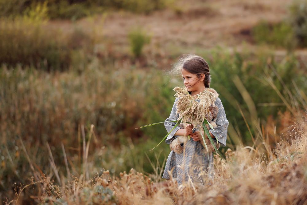 история одного дня