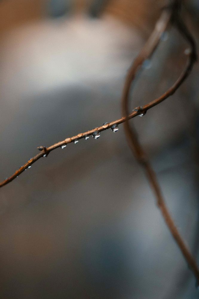 Photograph by Светлана Кавказская