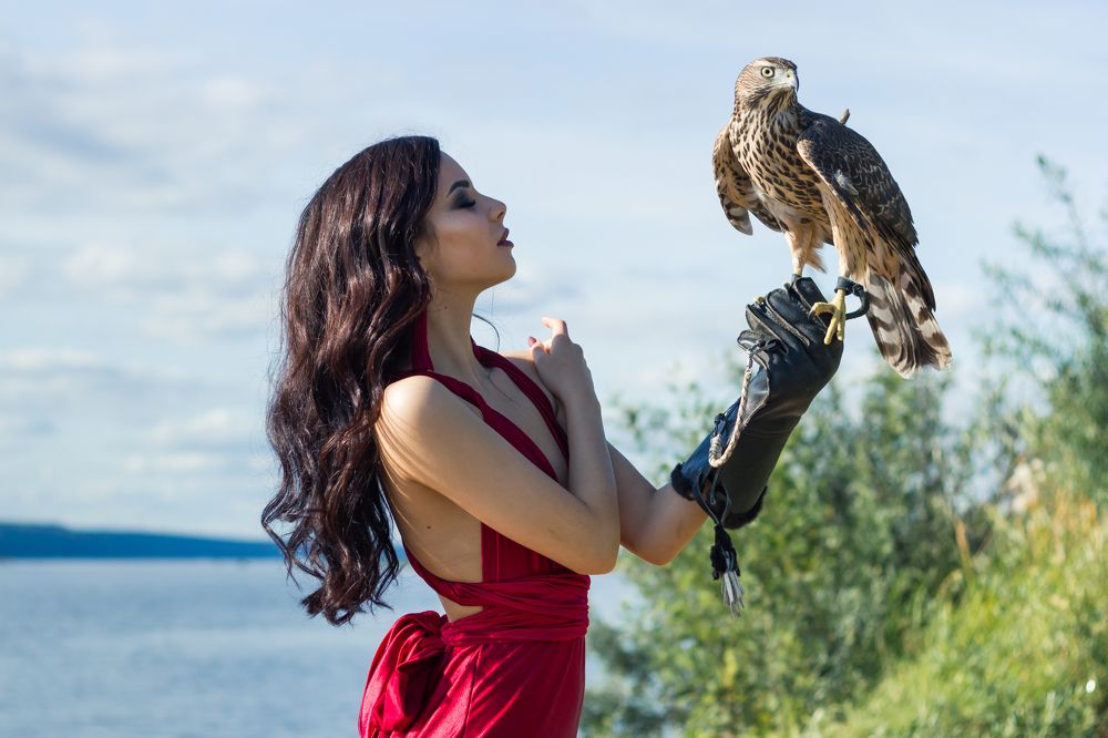 Девушка с ястребом