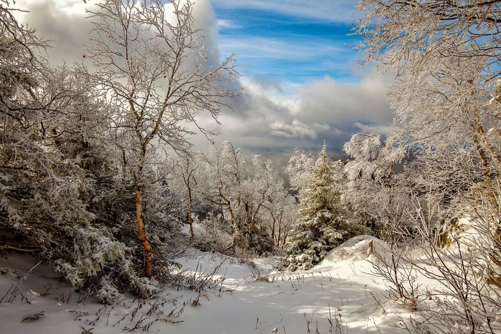 Природа Южного Урала