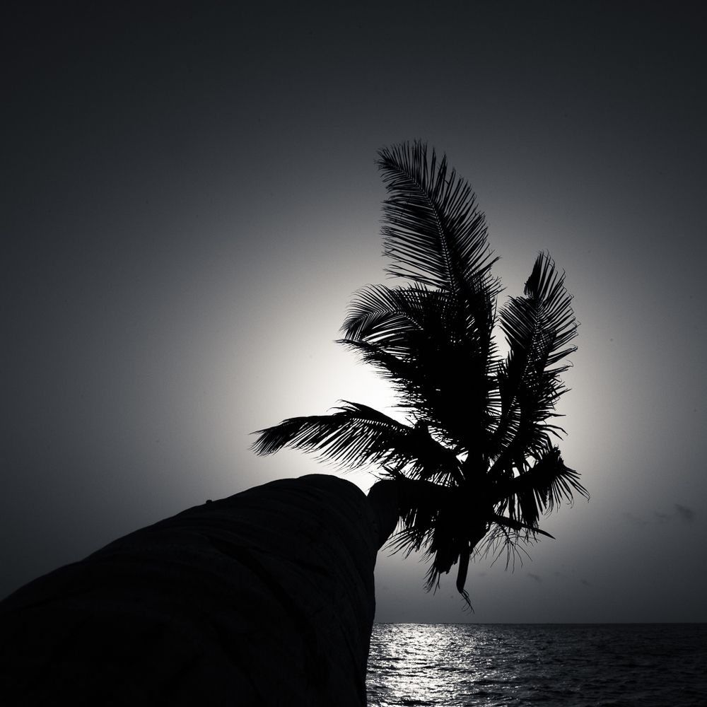 В поисках места на нашей планете №1923