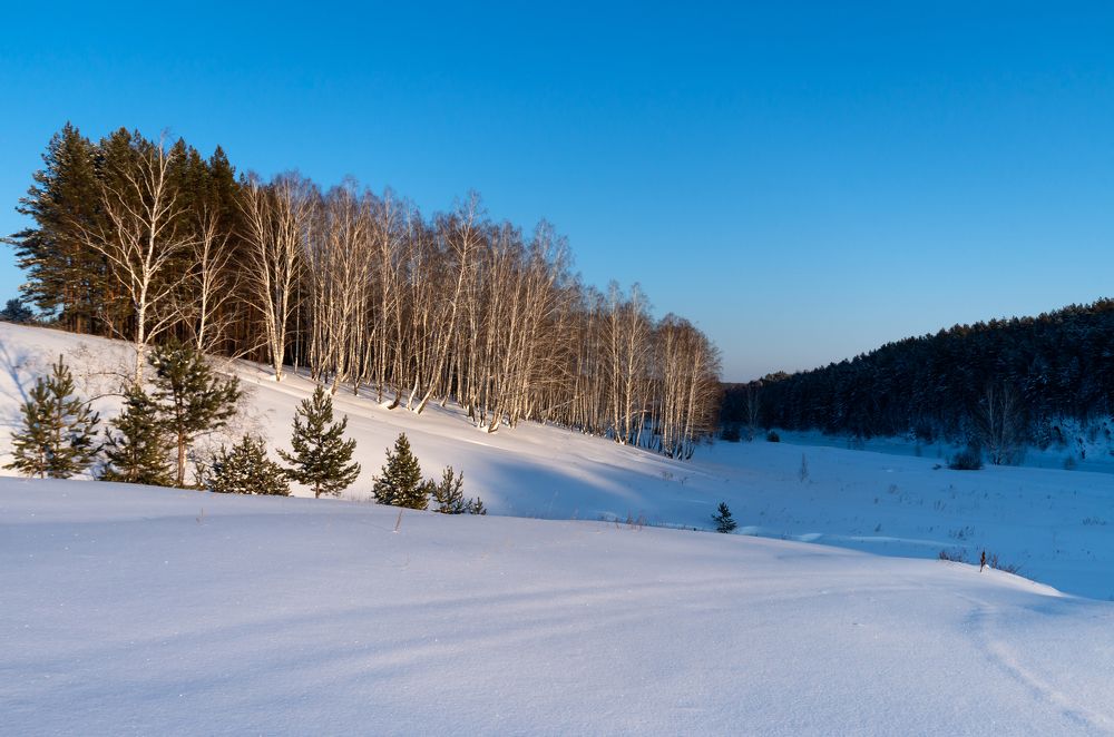 Солнечный зимний день