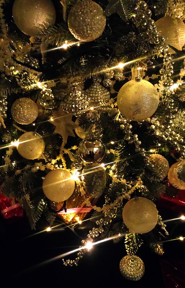 С Новым Годом! / Happy new year!