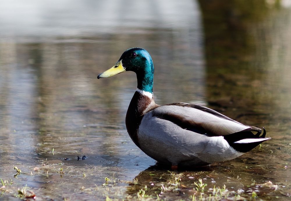 Photograph by Елена Щетинина