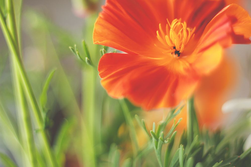 Photograph by Олеся Переверзева