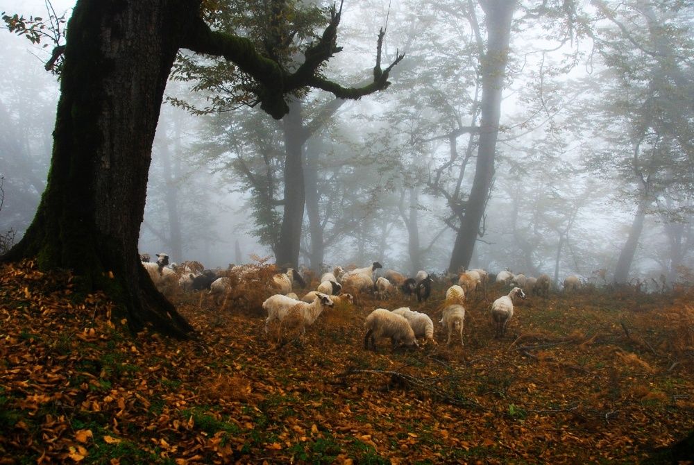 Beautiful Nature of IRAN