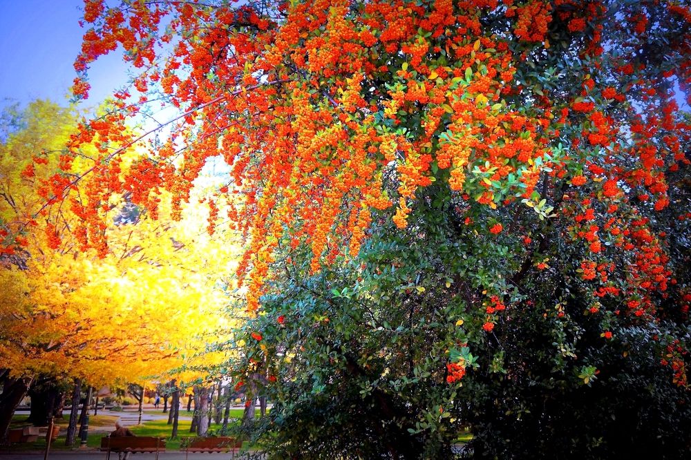 Скопье, Македония