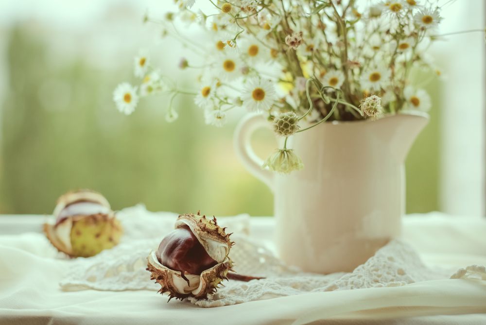 Вдохновение