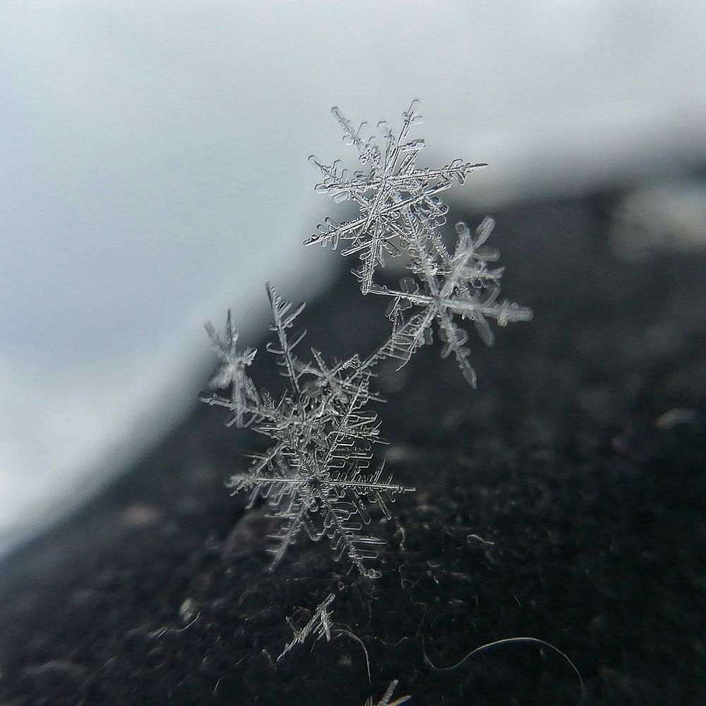 Снежинки-акробаты