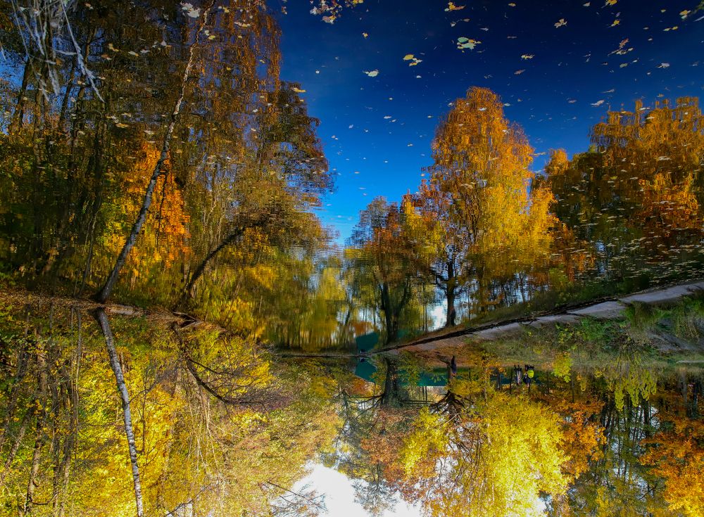 Мир наоборот