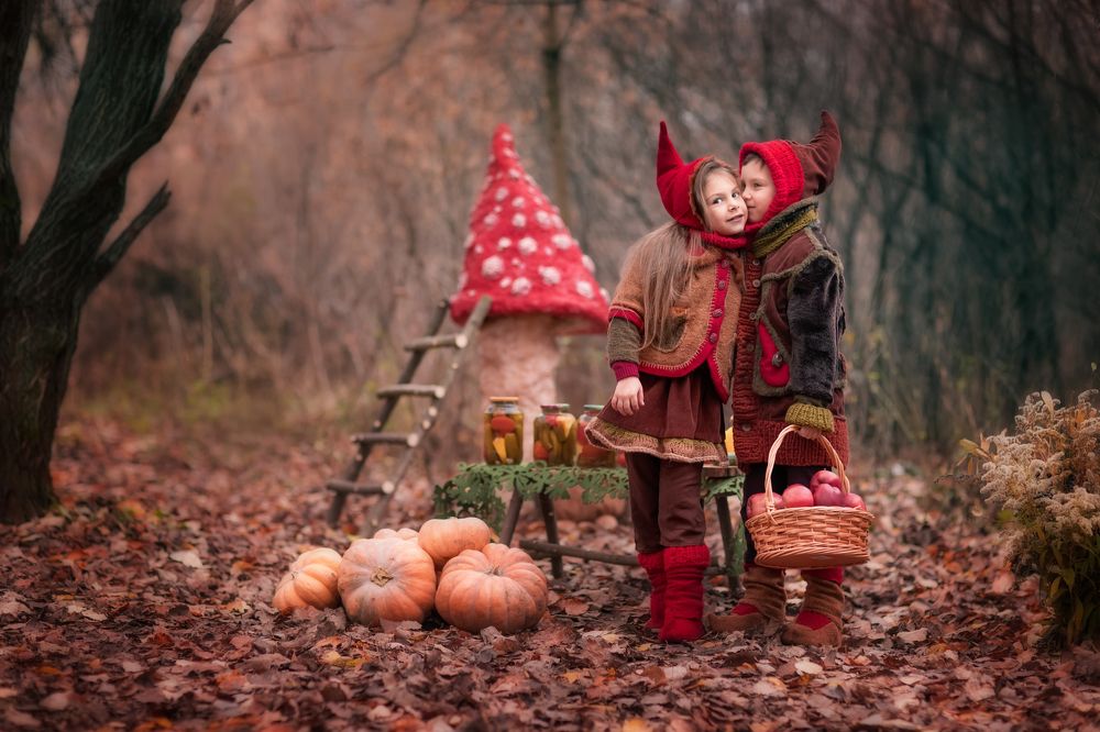 Сказка о гномиках