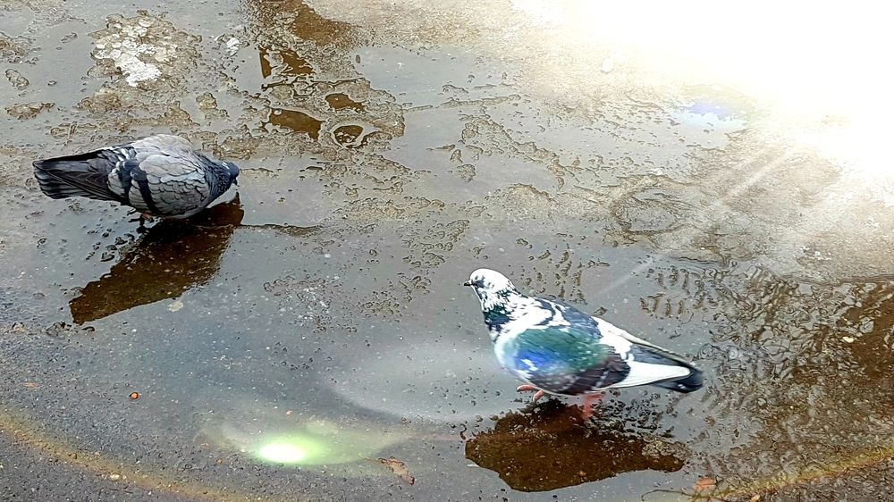 Скоро весна!