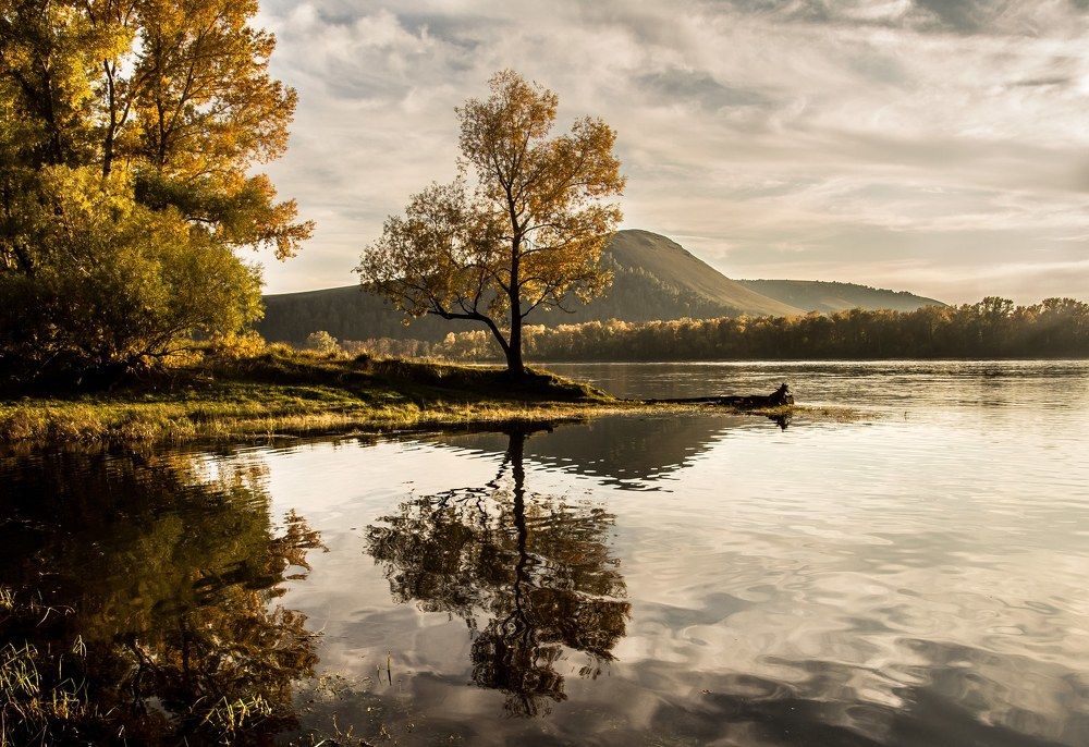 Осенние отражение