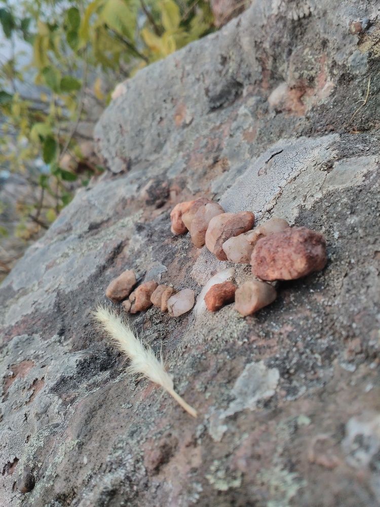 Photograph by NIRANJAN WADEKAR