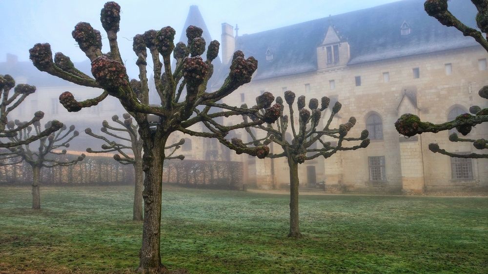 Утро в Фонтевро