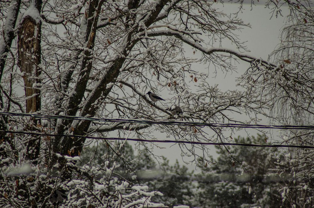 Photograph by Константин