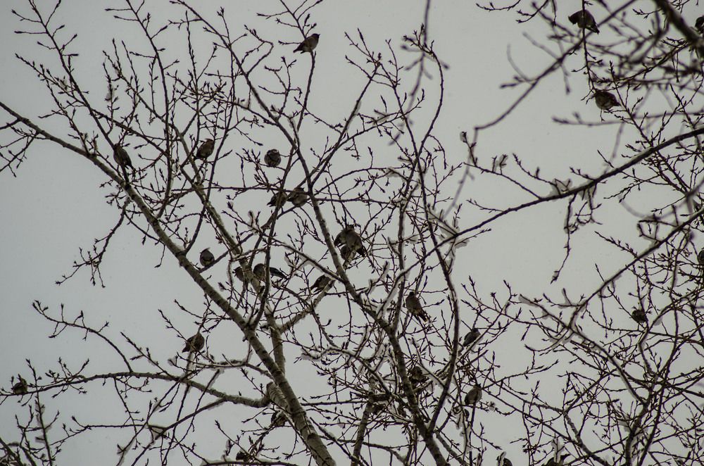 Photograph by Константин