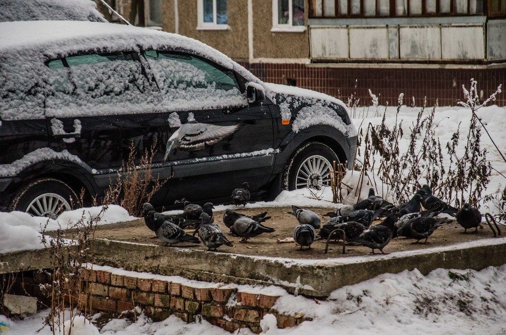 Photograph by Константин