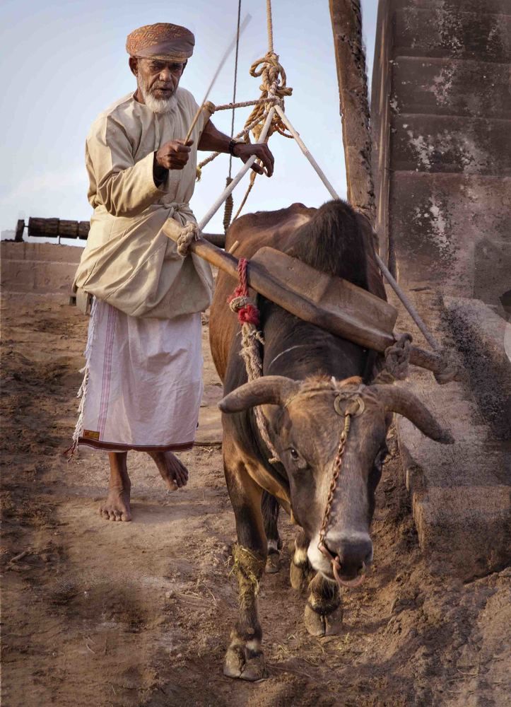 Старик поднимает воду из колодца