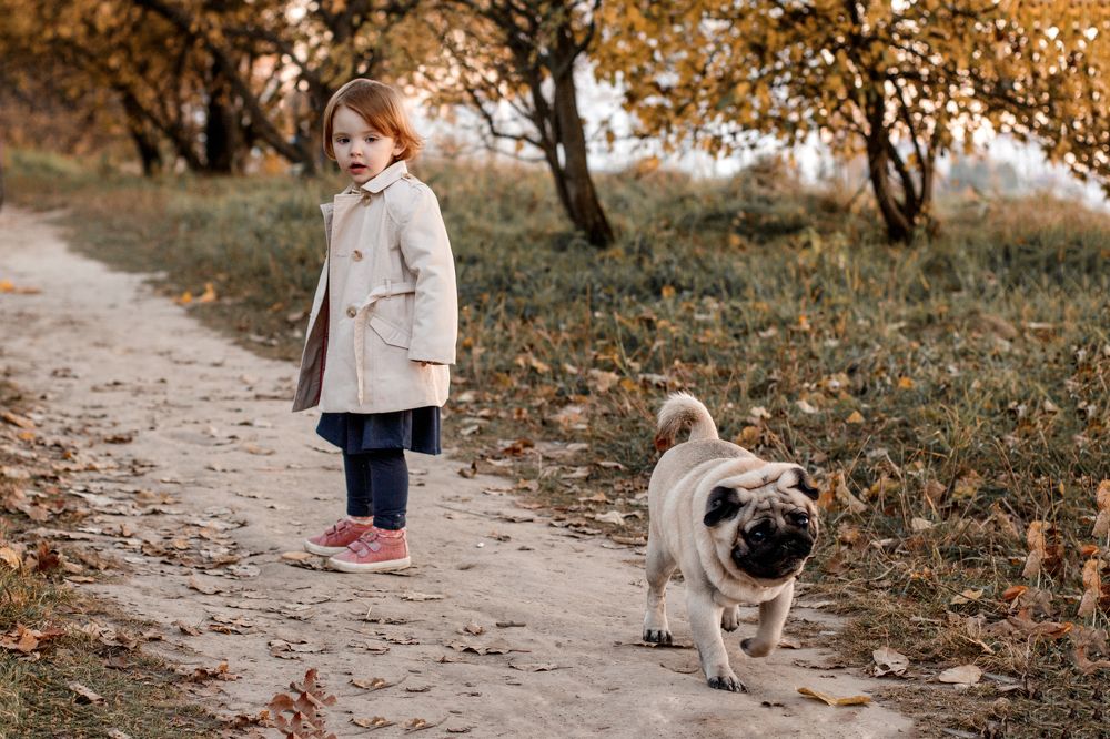 На прогулке