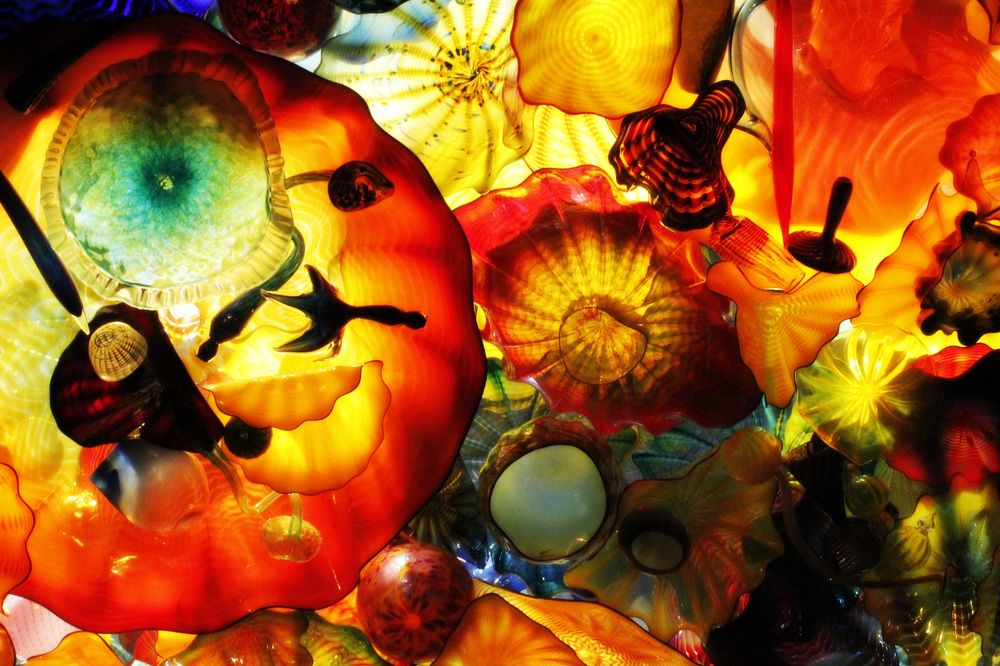 Photograph by Tiffanie Mora