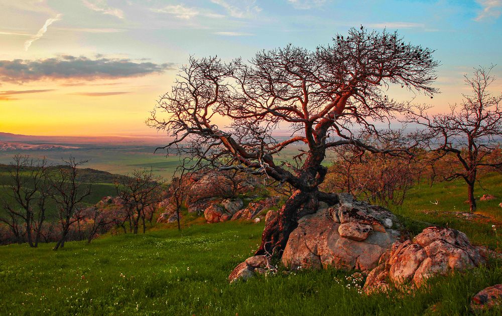 Вечерний пейзаж..