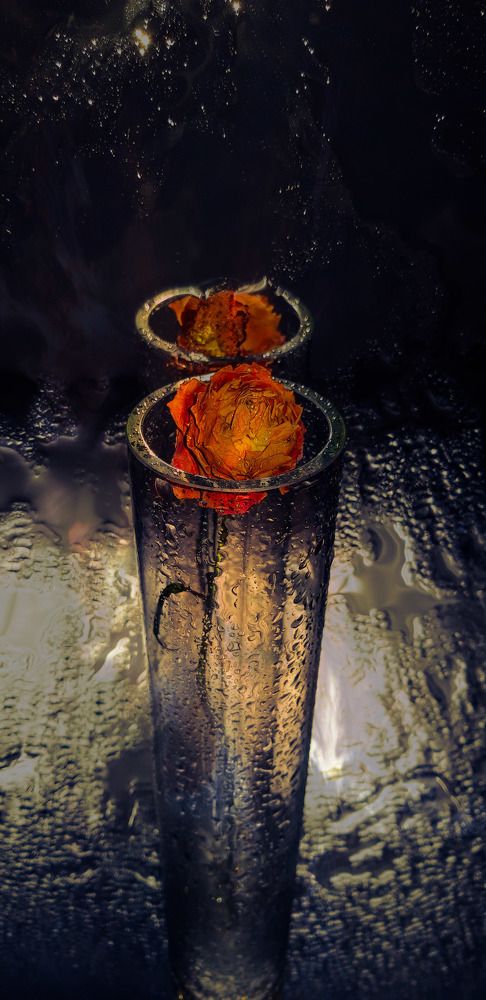 Photograph by Татьяна