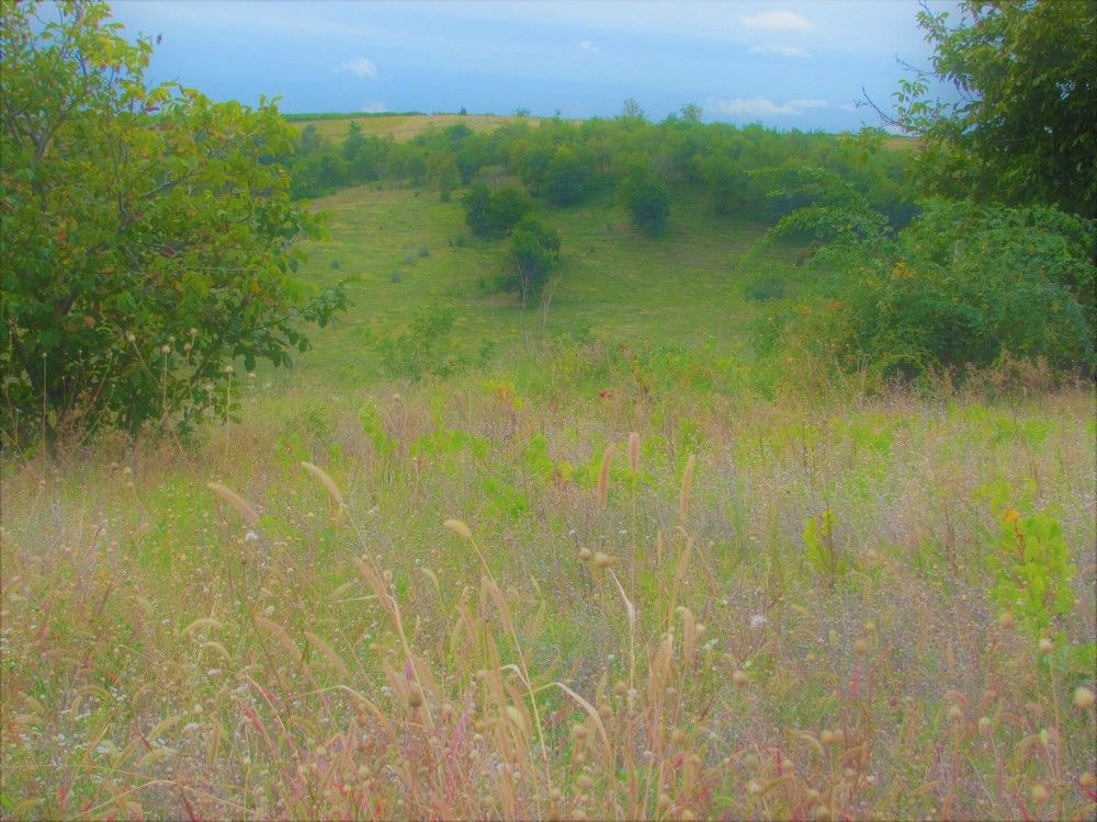 Начало осени