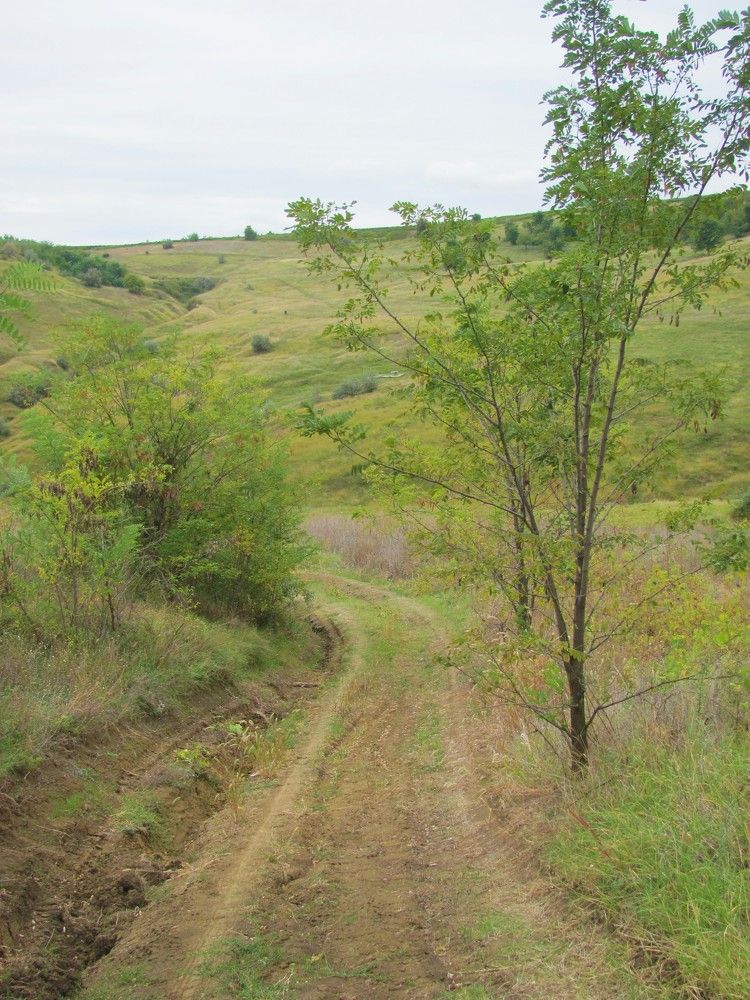 Начало осени 2