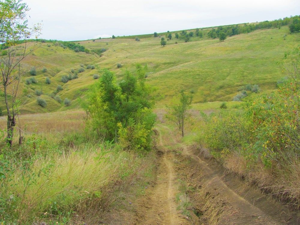 Начало осени 3