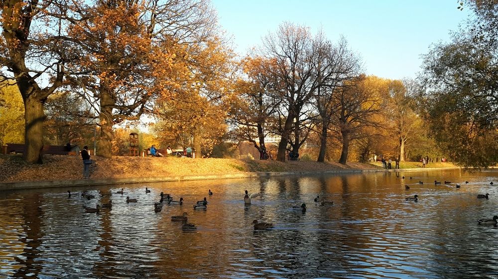 Тертецкий пруд