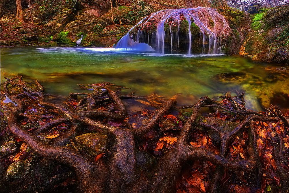 Корни загребущие