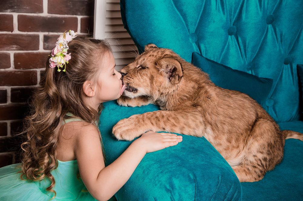 поцелуй короля