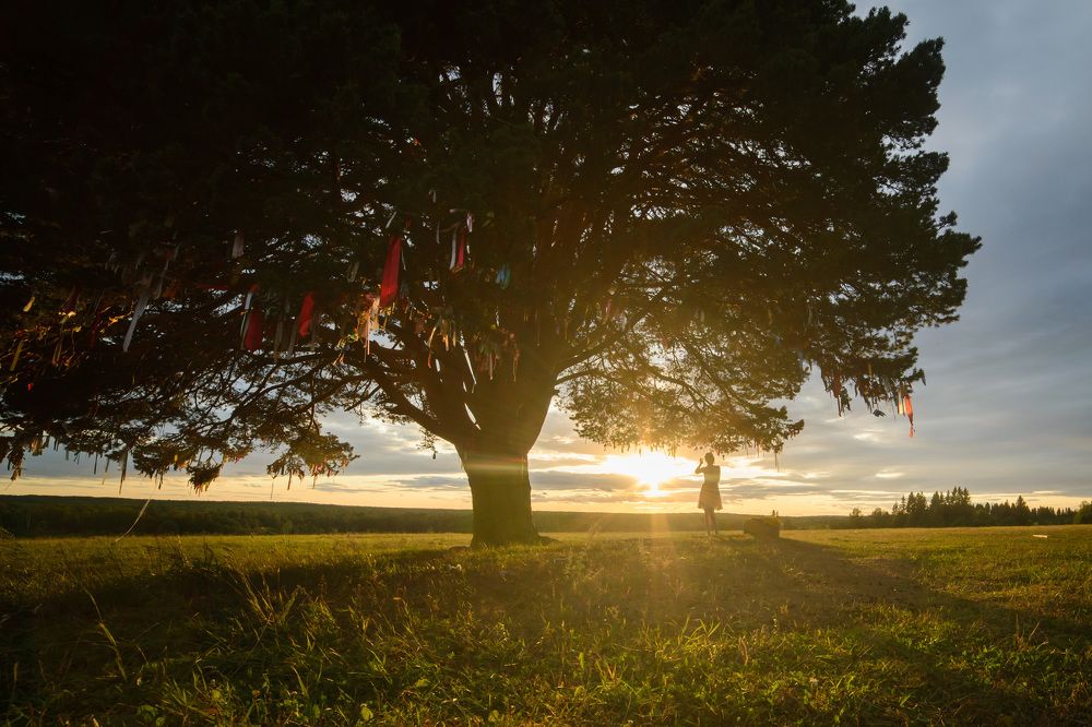 Наедине с природой