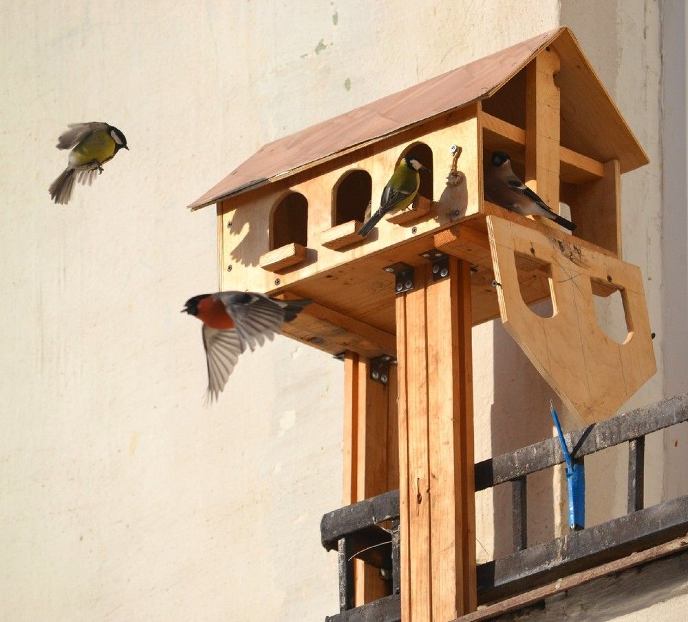 Photograph by Валерия Бердникова