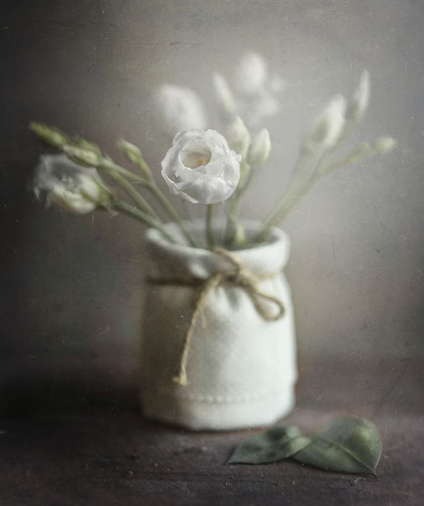 беленькое/*