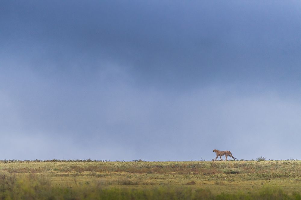 Tanzania - Scale, Scape & Skies