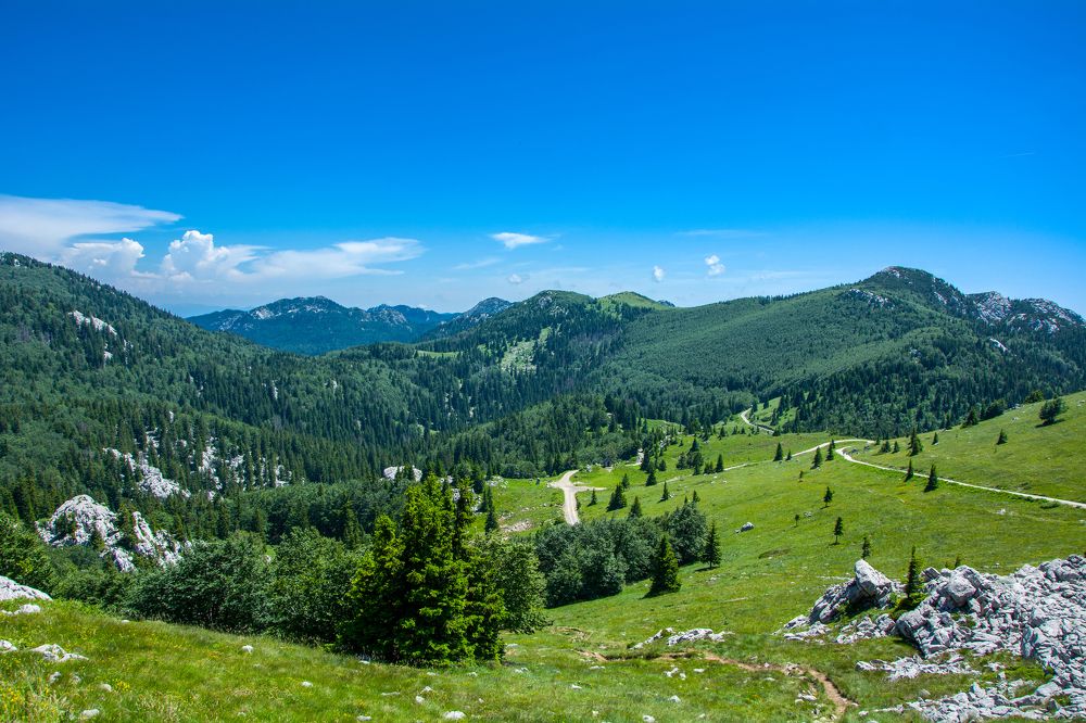 NP Velebit Croatia