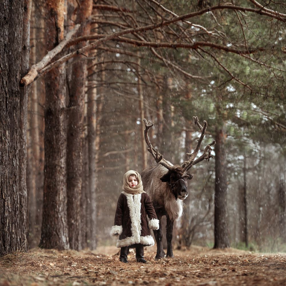 Лесной друг